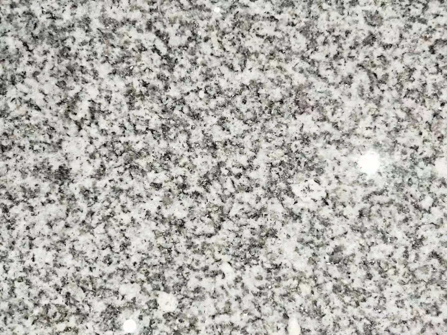 g665.jpg